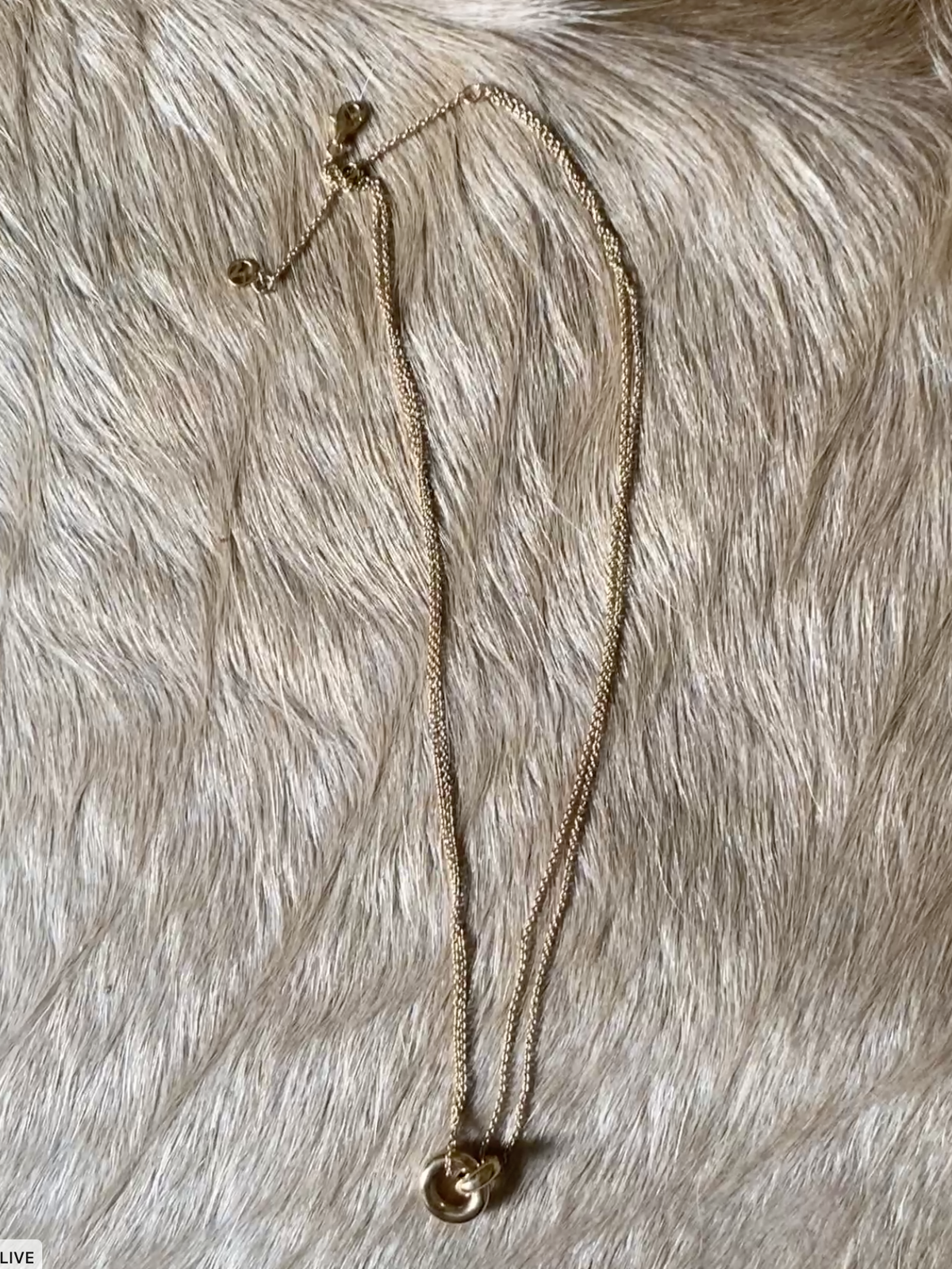 MEJURI Linked Necklace ゴールド 関税送料込 Mejuri Vermeil Linked Necklace | Used, Secondhand