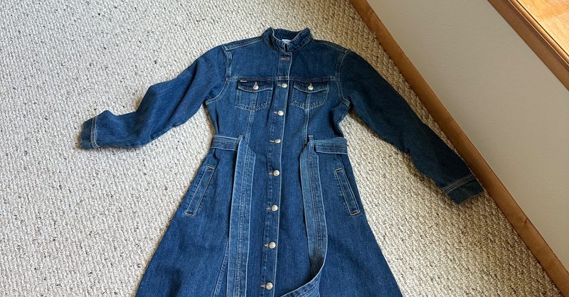 won hundred denim dress Allegra Printed Denim Dress