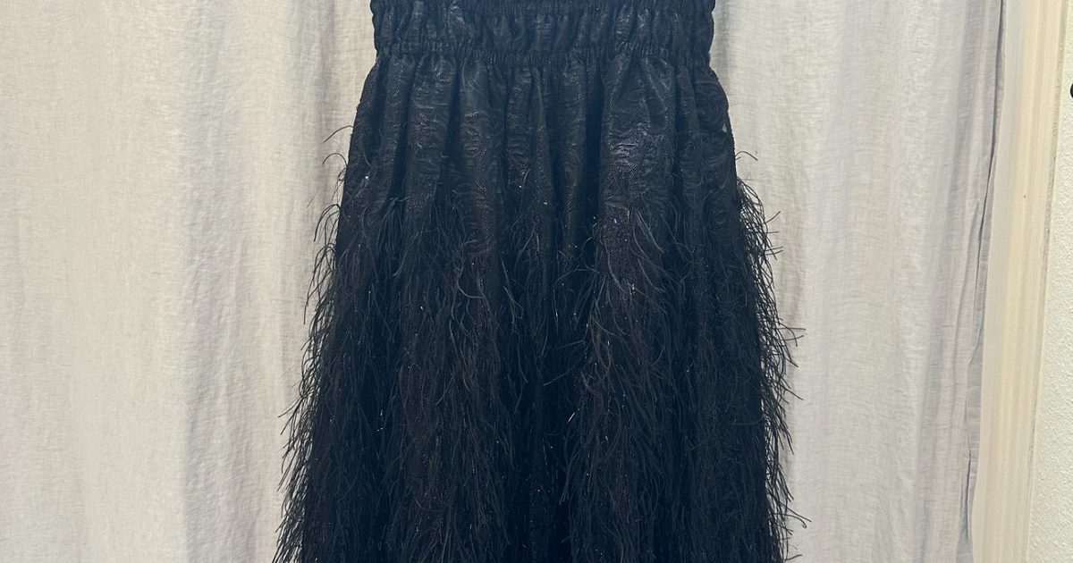 GANNI Black Feather Dress (36) | Used, Secondhand, | Noihsaf Bazaar GANNI Black Feather Dress (36) | Used, Secondhand, | Noihsaf Bazaar