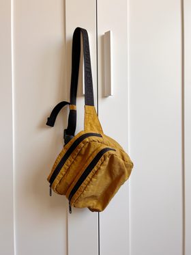 Used Fanny Rag BAGGU Nylon Fanny Bag | Used, Secondhand, Resell | Noihsaf Bazaar