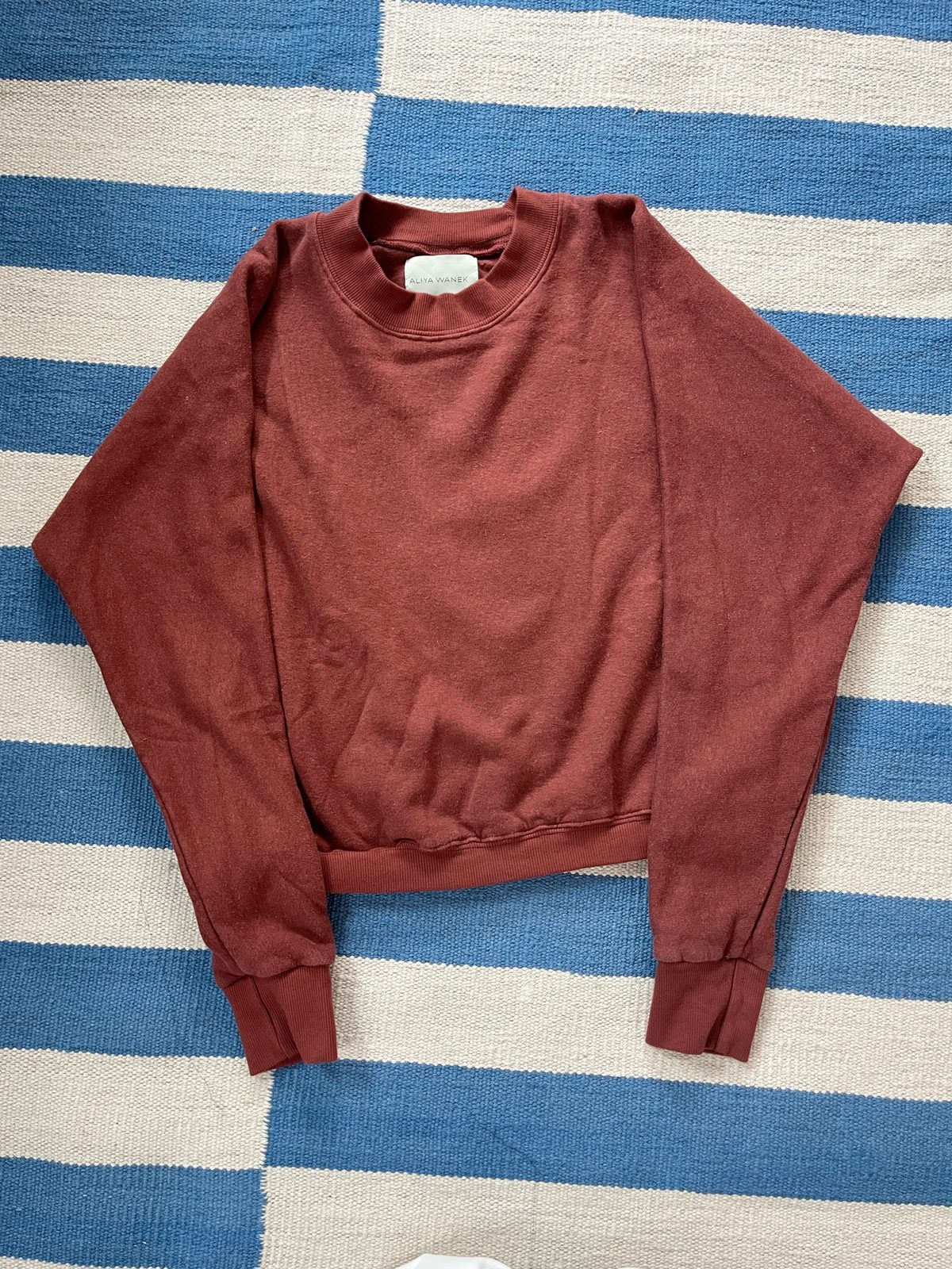 Aliya wanek ami sweatshirt sale