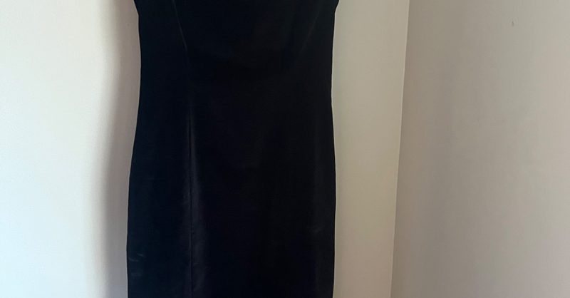 cesarina dress from den Adrienne - Salt inspired gown with a drop DEN Heirloom Cesarina Dress (XS)